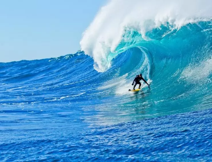 Убойные серферы 2012 скачать с торрента Убойные серферы 2012 скачать с торрента