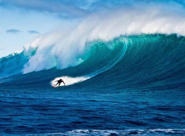 Убойные серферы 2012 скачать через торрент бесплатно Убойные серферы 2012 скачать через торрент бесплатно