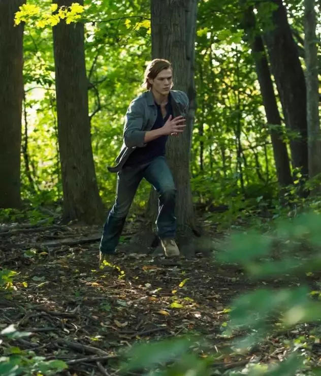 Волки 2013 скачать с торрента Волки 2013 скачать с торрента