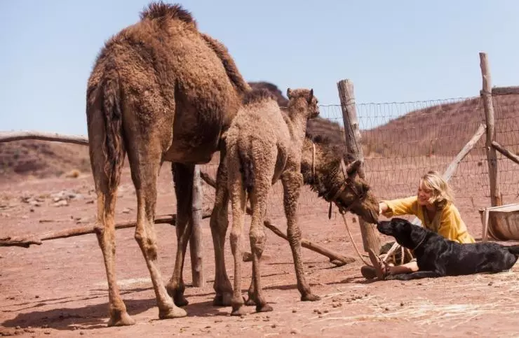 Тропы 2013 скачать через торрент бесплатно Тропы 2013 скачать через торрент бесплатно