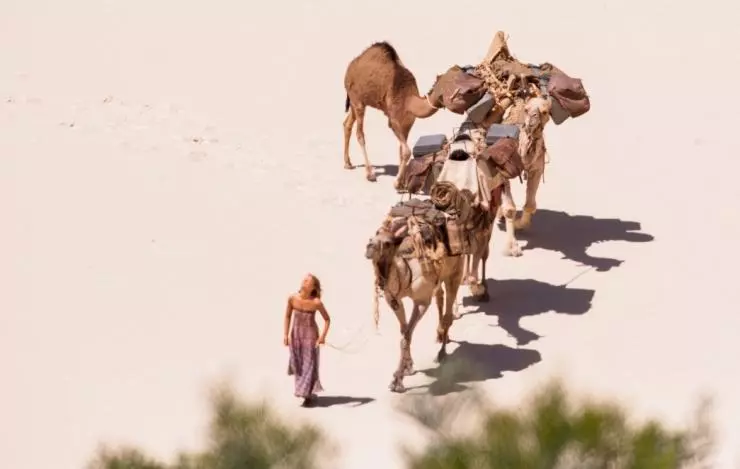 Тропы 2013 скачать с торрента Тропы 2013 скачать с торрента