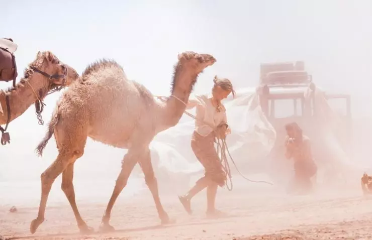 Тропы 2013 скачать торрентом Тропы 2013 скачать торрентом