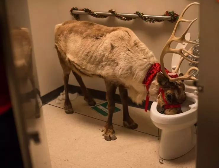 Новогодний корпоратив 2016 скачать с торрента Новогодний корпоратив 2016 скачать с торрента