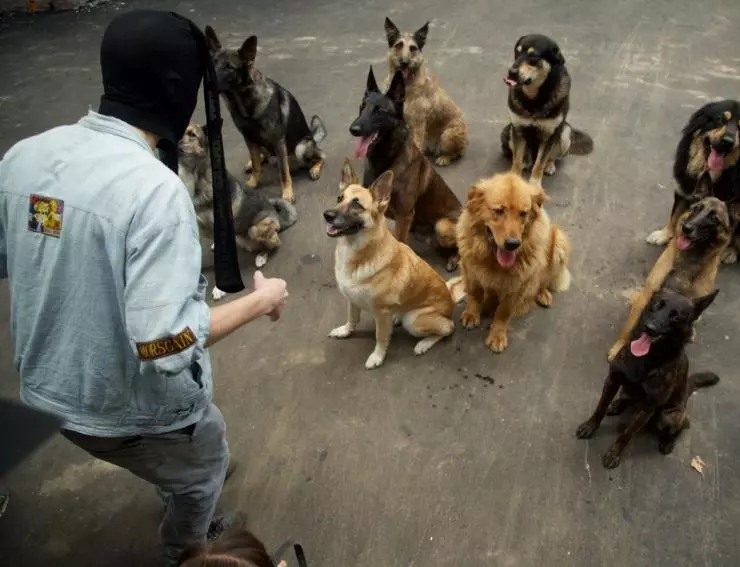 СуперБобровы 2016 скачать с торрента СуперБобровы 2016 скачать с торрента