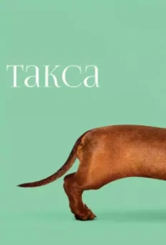 Такса / Wiener-Dog 2015 скачать через торрент в хорошем качестве