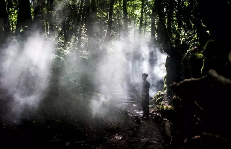 Не стучи дважды 2016 скачать через торрент бесплатно Не стучи дважды 2016 скачать через торрент бесплатно