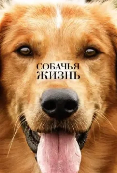 Собачья жизнь / A Dog's Purpose 2017 скачать через торрент в хорошем качестве