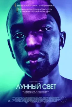 Лунный свет / Moonlight 2016 скачать через торрент в хорошем качестве