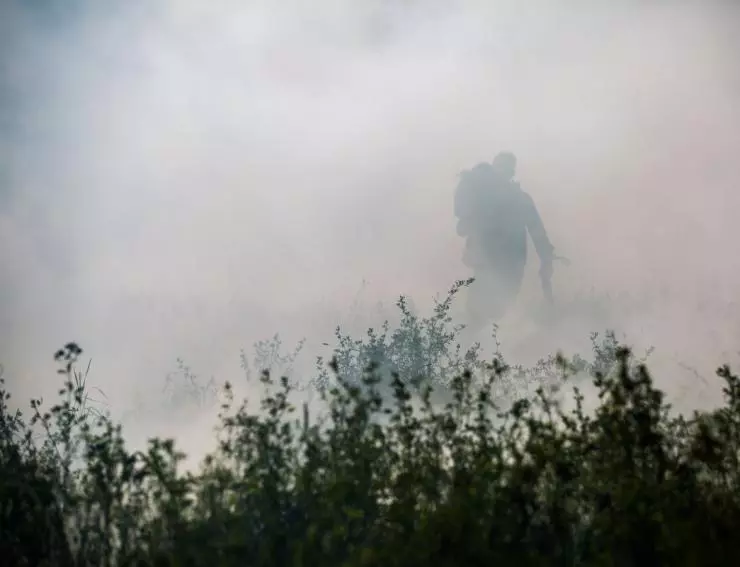 Голодные Z 2017 скачать торрентом Голодные Z 2017 скачать торрентом