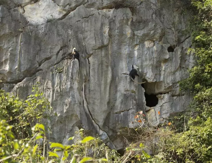 Земля: Один потрясающий день 2017 скачать торрентом Земля: Один потрясающий день 2017 скачать торрентом