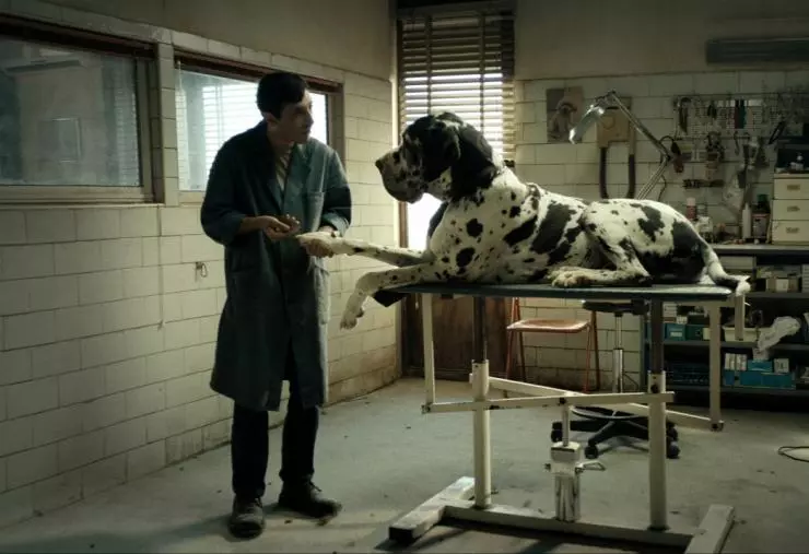 Догмэн 2018 скачать торрентом Догмэн 2018 скачать торрентом