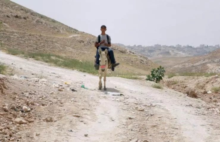 Кто украл Banksy 2018 скачать через торрент бесплатно Кто украл Banksy 2018 скачать через торрент бесплатно