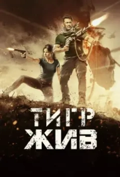 Тигр жив / Tiger Zinda Hai 2017 скачать через торрент в хорошем качестве