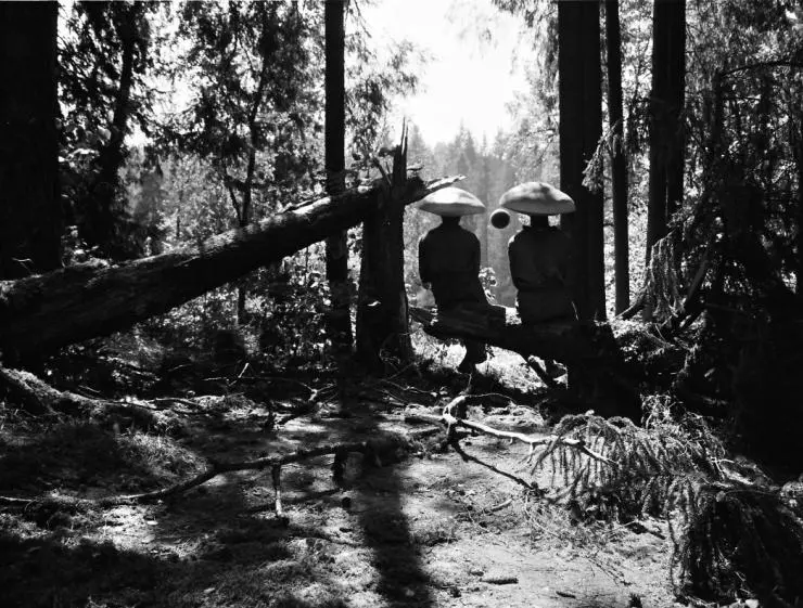 Мешок без дна 2017 скачать торрентом Мешок без дна 2017 скачать торрентом