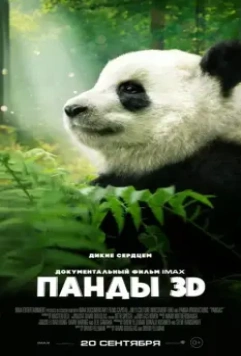 Панды 3D / Pandas 2018 скачать через торрент в хорошем качестве