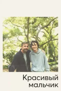 Красивый мальчик / Beautiful Boy 2018 скачать через торрент в хорошем качестве