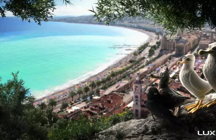 Птичий дозор 2019 скачать через торрент бесплатно Птичий дозор 2019 скачать через торрент бесплатно