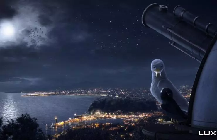 Птичий дозор 2019 скачать торрентом Птичий дозор 2019 скачать торрентом