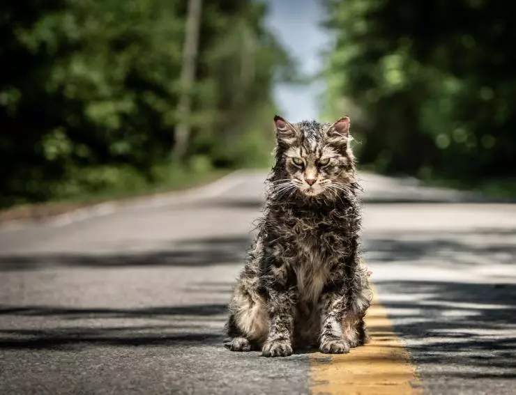 Кладбище домашних животных 2019 скачать торрентом Кладбище домашних животных 2019 скачать торрентом
