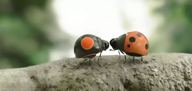 Букашки 2 2018 скачать торрентом Букашки 2 2018 скачать торрентом