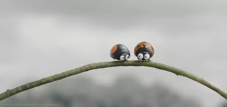 Букашки 2 2018 скачать через торрент бесплатно Букашки 2 2018 скачать через торрент бесплатно