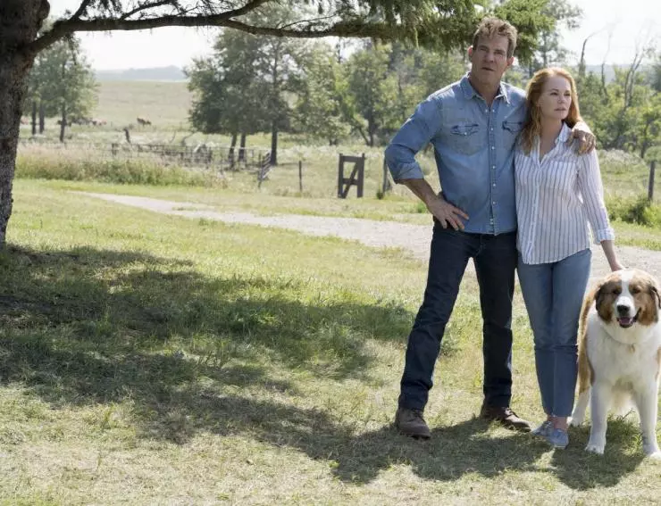 Собачья жизнь 2 2019 скачать через торрент бесплатно Собачья жизнь 2 2019 скачать через торрент бесплатно