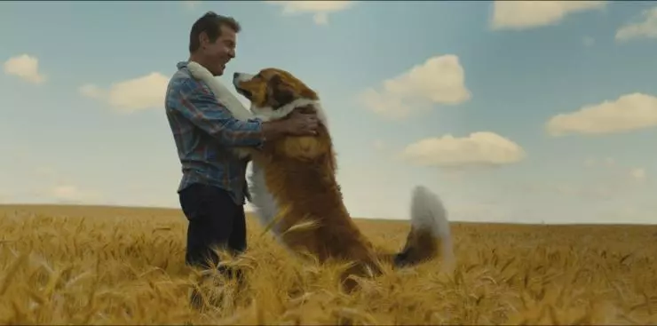 Собачья жизнь 2 2019 скачать с торрента Собачья жизнь 2 2019 скачать с торрента