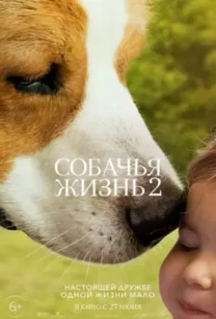 Собачья жизнь 2 / A Dog's Journey 2019 скачать через торрент в хорошем качестве
