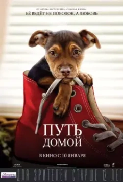 Путь домой / A Dog's Way Home 2019 скачать через торрент в хорошем качестве