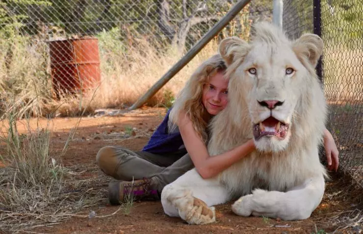 Миа и белый лев 2018 скачать торрентом Миа и белый лев 2018 скачать торрентом