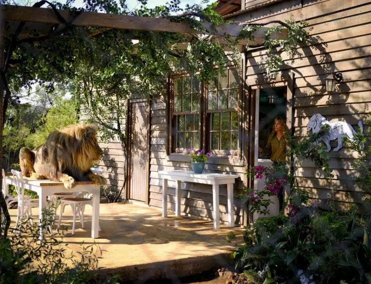 Миа и белый лев 2018 скачать с торрента Миа и белый лев 2018 скачать с торрента