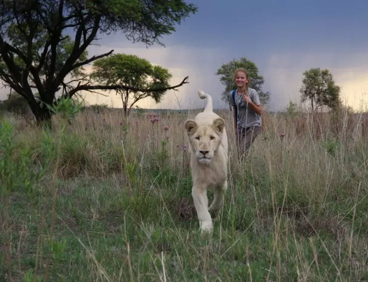 Миа и белый лев 2018 скачать через торрент бесплатно Миа и белый лев 2018 скачать через торрент бесплатно