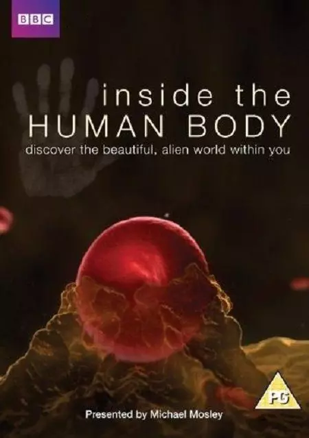 Внутри человеческого тела / Inside the Human Body 2011 скачать через торрент в хорошем качестве