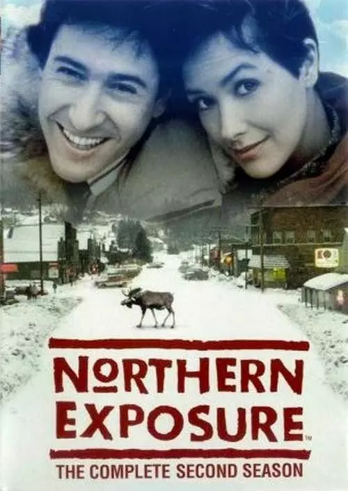Северная сторона / Northern Exposure 1990 скачать через торрент в хорошем качестве