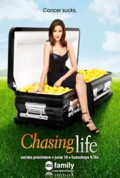 Погоня за жизнью / Chasing Life 2014 скачать через торрент в хорошем качестве