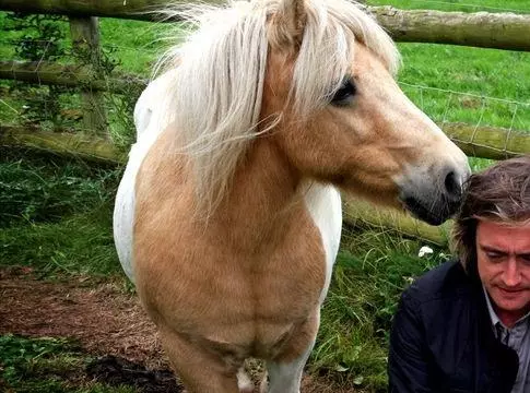 BBC: Невидимые миры 2010 скачать с торрента BBC: Невидимые миры 2010 скачать с торрента