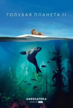 Голубая планета 2 / BBC Earth Blue Planet II 2017 скачать через торрент в хорошем качестве