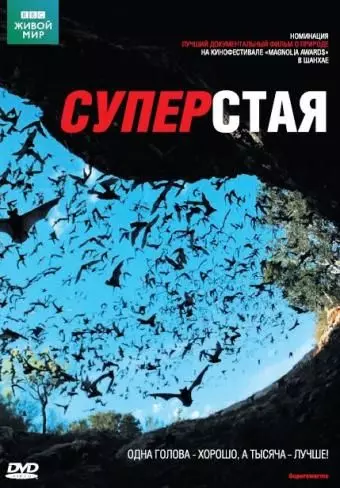 BBC: Суперстая / SuperSwarm: Nature's Incredible Invasions 2009 скачать через торрент в хорошем качестве