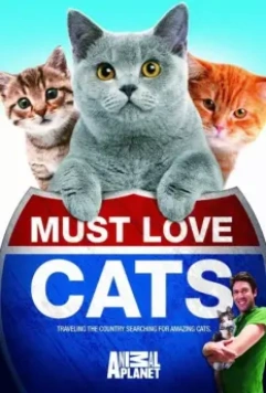 Кошек не любить нельзя / Must Love Cats 2011 скачать через торрент в хорошем качестве
