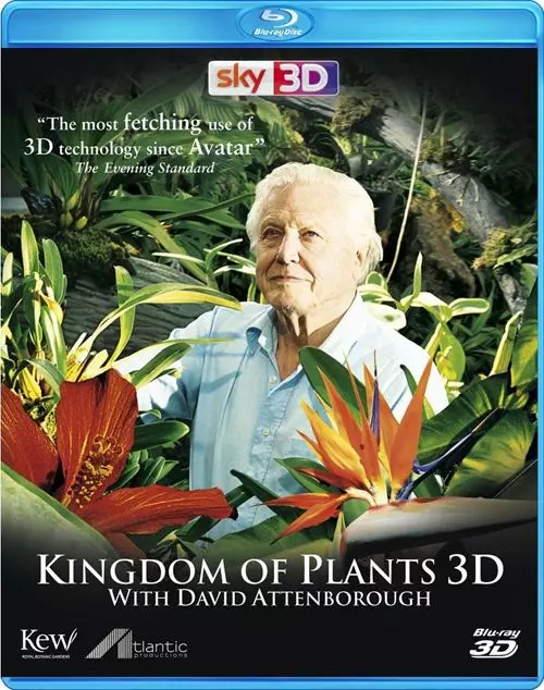 В королевстве растений / Kingdom of Plants 3D 2012 скачать через торрент в хорошем качестве