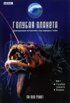 Голубая планета / The Blue Planet: Seas of Life 2001 скачать через торрент в хорошем качестве