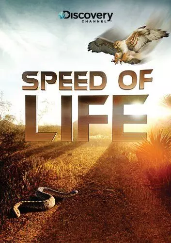 Discovery: Скорость жизни / Speed of Life 2010 скачать через торрент в хорошем качестве