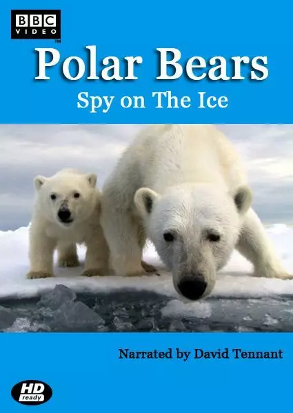 Белый медведь: Шпион во льдах / Polar Bears: Spy on the Ice 2011 скачать через торрент в хорошем качестве