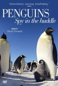 Пингвины: Шпион в толпе / Penguins: Spy in the Huddle 2013 скачать через торрент в хорошем качестве