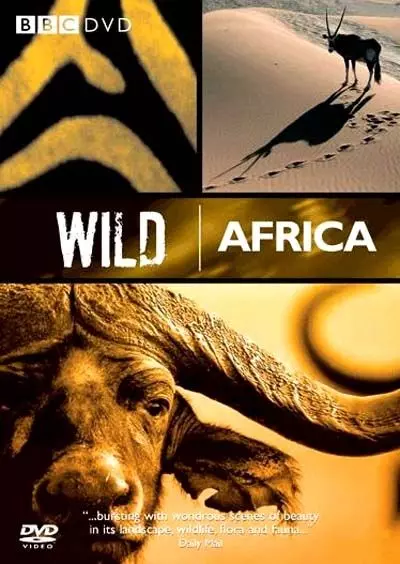 BBC: Дикая Африка / Wild Africa 2001 скачать через торрент в хорошем качестве