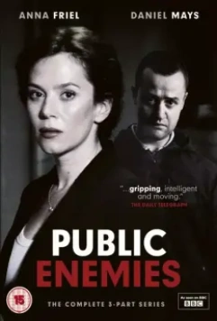 Враги общества / Public Enemies 2012 скачать через торрент в хорошем качестве