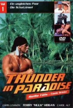 Гром в раю / Thunder in Paradise 1994 скачать через торрент в хорошем качестве