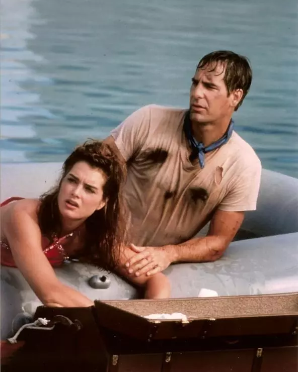 Квантовый скачок 1989 скачать с торрента Квантовый скачок 1989 скачать с торрента