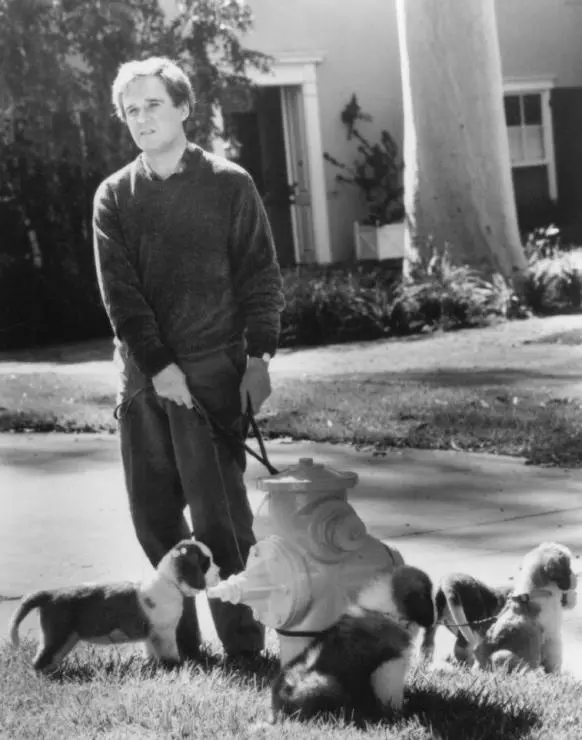 Бетховен 2 1993 скачать торрентом Бетховен 2 1993 скачать торрентом