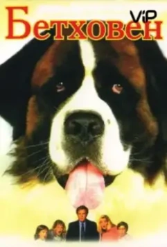 Бетховен / Beethoven 1992 скачать через торрент в хорошем качестве